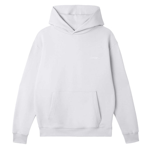 Ice Grey Casual Hoodie
